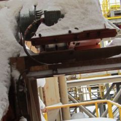Labrador 037.jpg