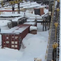 Labrador 022.jpg