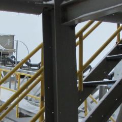 Labrador 051.jpg