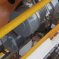 Labrador 017.jpg