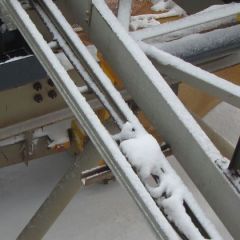 Labrador 020.jpg