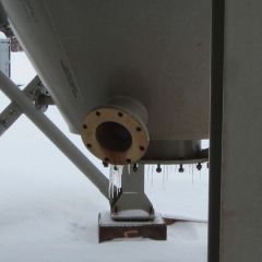 Labrador 047.jpg