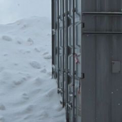 Labrador 049.jpg