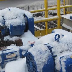 Labrador 012.jpg