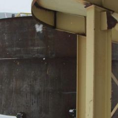 Labrador 053.jpg