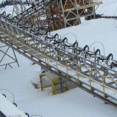 Labrador 023.jpg