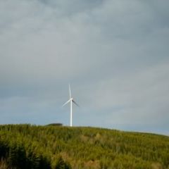 Dokie-Wind-Farm-6.jpg